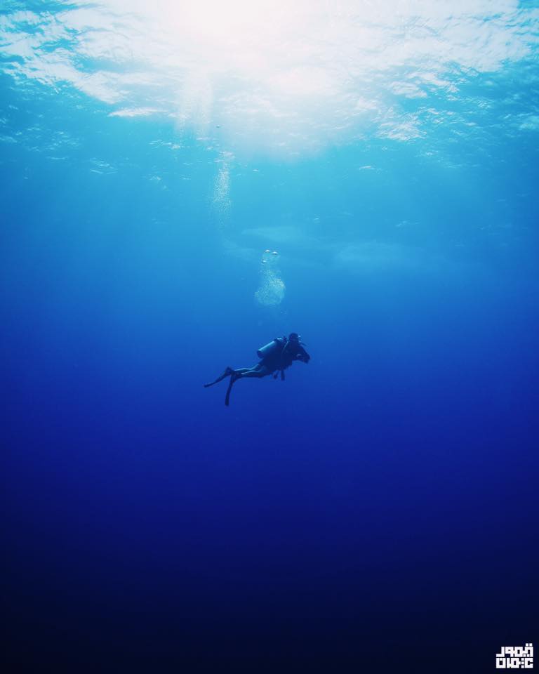 underwater photography world in Egypt - Taimour Othman